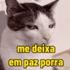 Ironia e deboches  4