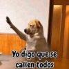 Yo digo que se callen todos