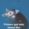 Primero que todo
wenos días