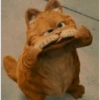 Garfield vol.2 🐈🐾 5