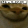 SENYUM CABUL