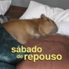 @meltedvideos sábado de repouso