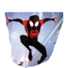 Spiderman 27
