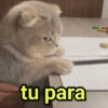Reações Dogs & Cats🐱🐶 11