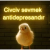 Civciv sevmek antidepresandır neoncivciv
