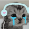 Kucing imoet 17
