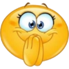 Twitter  29