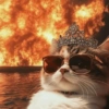 Gatitos apocalípticos 🙀 6