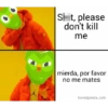 Duolingo 27
