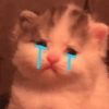 Gatos Tristes 3😿 16