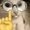 PRA USAR NO ZAP ZAP 4