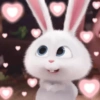 Rabbit Putih 🐰 11