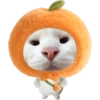 Miaw miaw 1 12