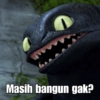 Toothless & Lightfury 7
