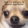 Meme Italiani 20