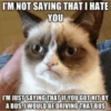 Talking cat 15