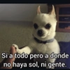 Sí a todo pero a donde no haya sol, ni gente.