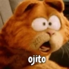 Garfield vol.2 🐈🐾 15