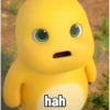 hah