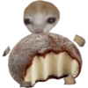 Mochi cat  11