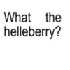 💀What the Helly💀 5