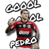 GOOOL pixbet SOL pixbst Sil Sil banco XBRB PEDRO