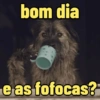 bom dia e as fofocas?