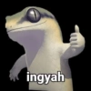 Meme oke / okay / shapp 10