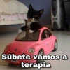 Súbete vamos a terapia