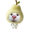 Miaw miaw 1 13