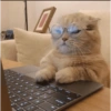 Kucing ngambek 8