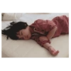 Bb coreana 18