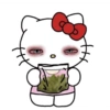 Kitty🥹1,3 11