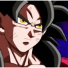 Goku xeno 13