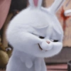 Rabbit Putih 🐰 9