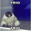 FRIO FRIO