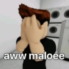 aww maloee