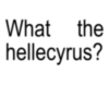 💀What the Helly💀 7