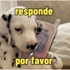 Frases perrunas cool 19