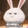 Rabbit Putih 🐰 6