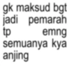 Kata kata hari ini 5