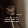 Animales Random🌸💥 7