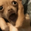 MeMes PA' COMENTAR|TikTok🤣 12