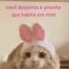 você desperta a piranha que habita em mim
