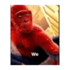 We