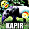 Meme Indonesia 9