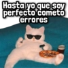 Hasta yo que soy perfecto cometo errores