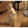 Kucing imoet 12