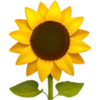Emoji iphone yellow  26