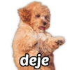 ⭐ SECUENCIAS MEMES TOP 12 ⭐ 30